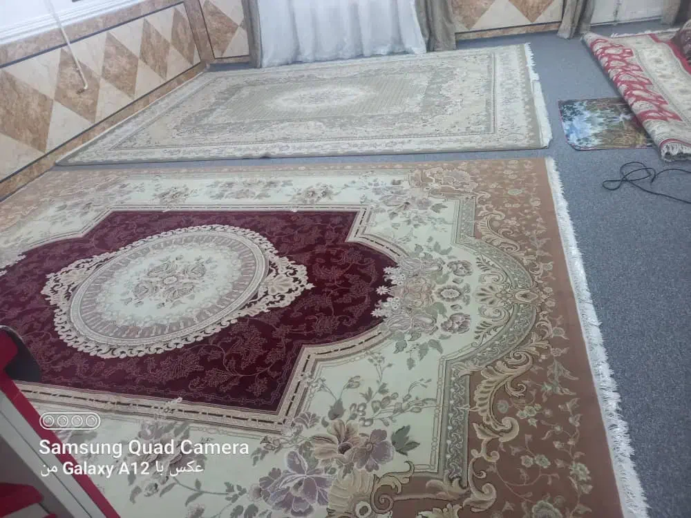 فروش دو عدد قالی دوازده متری|فرش|لالی, |دیوار