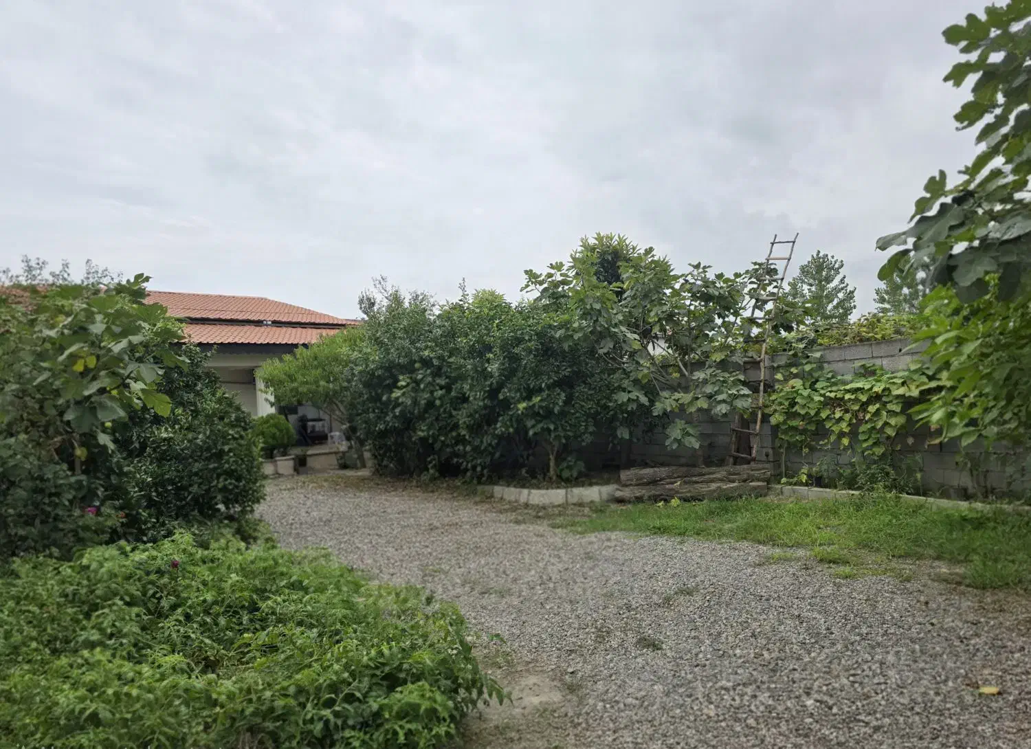 ویلا ۴۵۰ متر زمین ۱۶۰ متر بنا در کمربندی تنکابن|فروش خانه و ویلا|خرم‌آباد (تنکابن), |دیوار