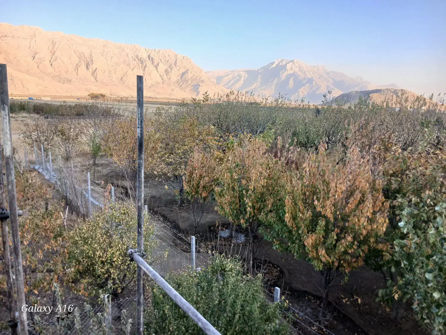 باغ|فروش زمین و ملک کلنگی|کرمانشاه, |دیوار