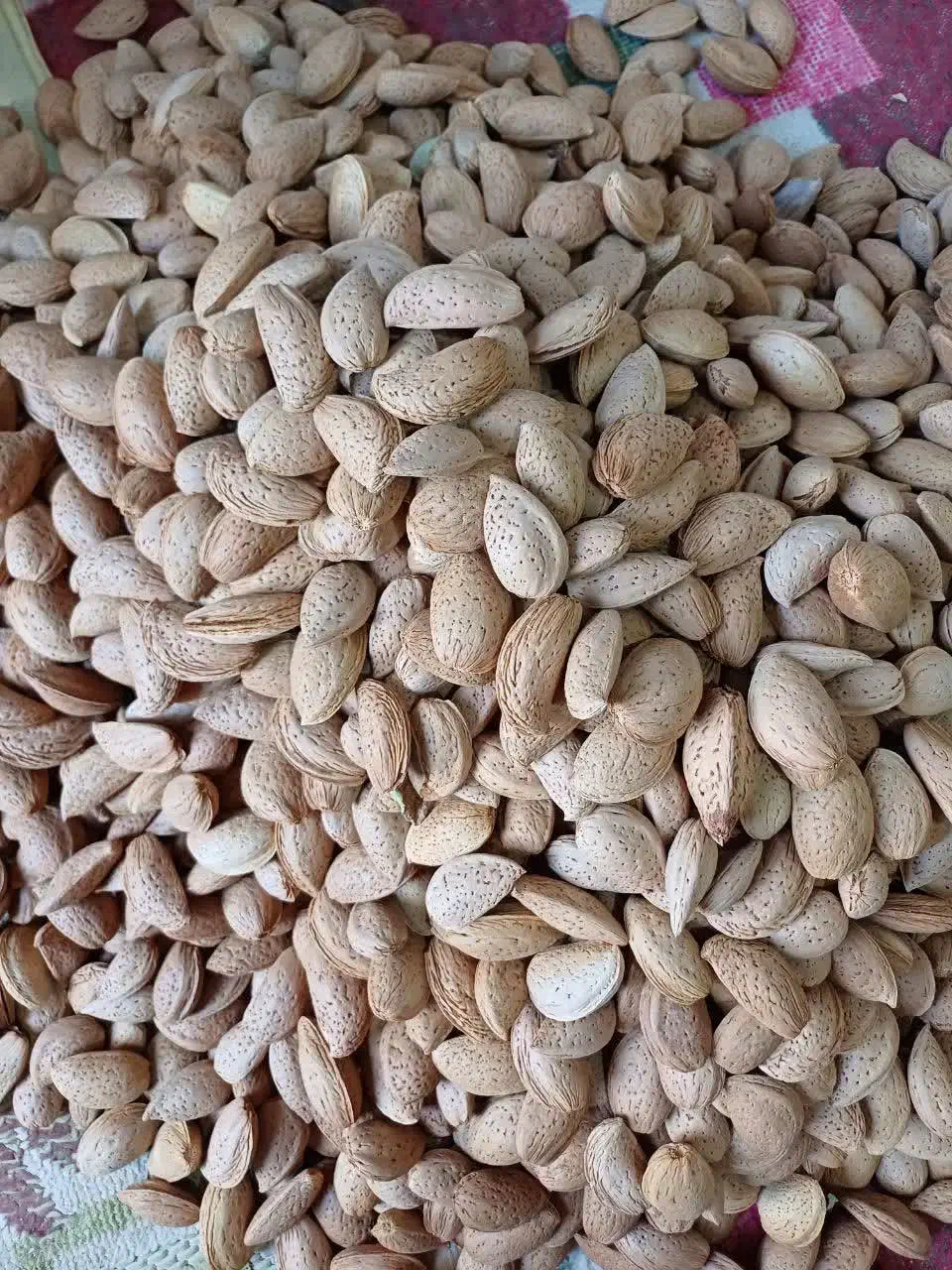 بادام شیرین|خوردنی و آشامیدنی|یزد, |دیوار