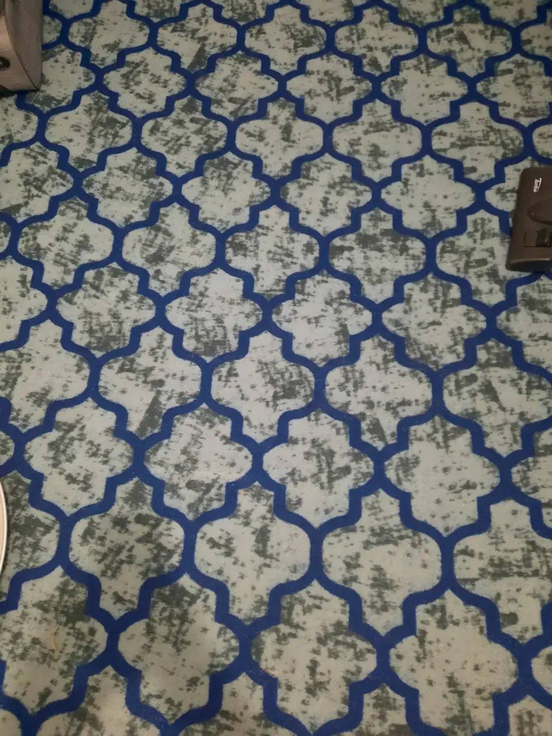 فروش موکت تمیز|موکت|شیراز, شهرک امام حسن|دیوار