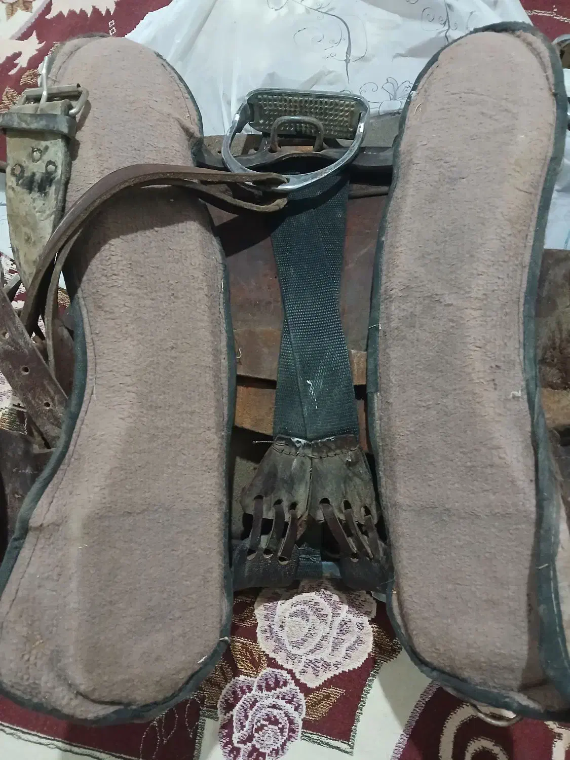 زین دهنه اسب|اسب و تجهیزات اسبسواری|مرودشت, تخت جمشید|دیوار