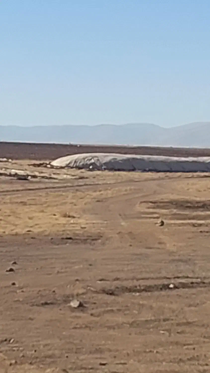 کاه گندم|لوازم جانبی حیوانات|حسین آباد, |دیوار