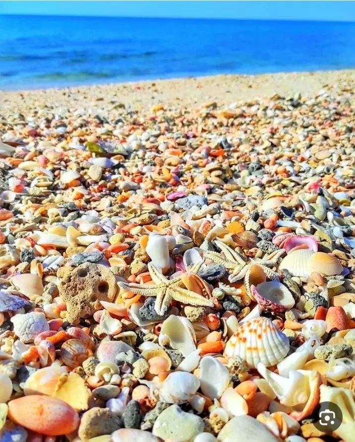 تورقشم ازمیاندواب|تور و چارتر|میاندوآب, |دیوار