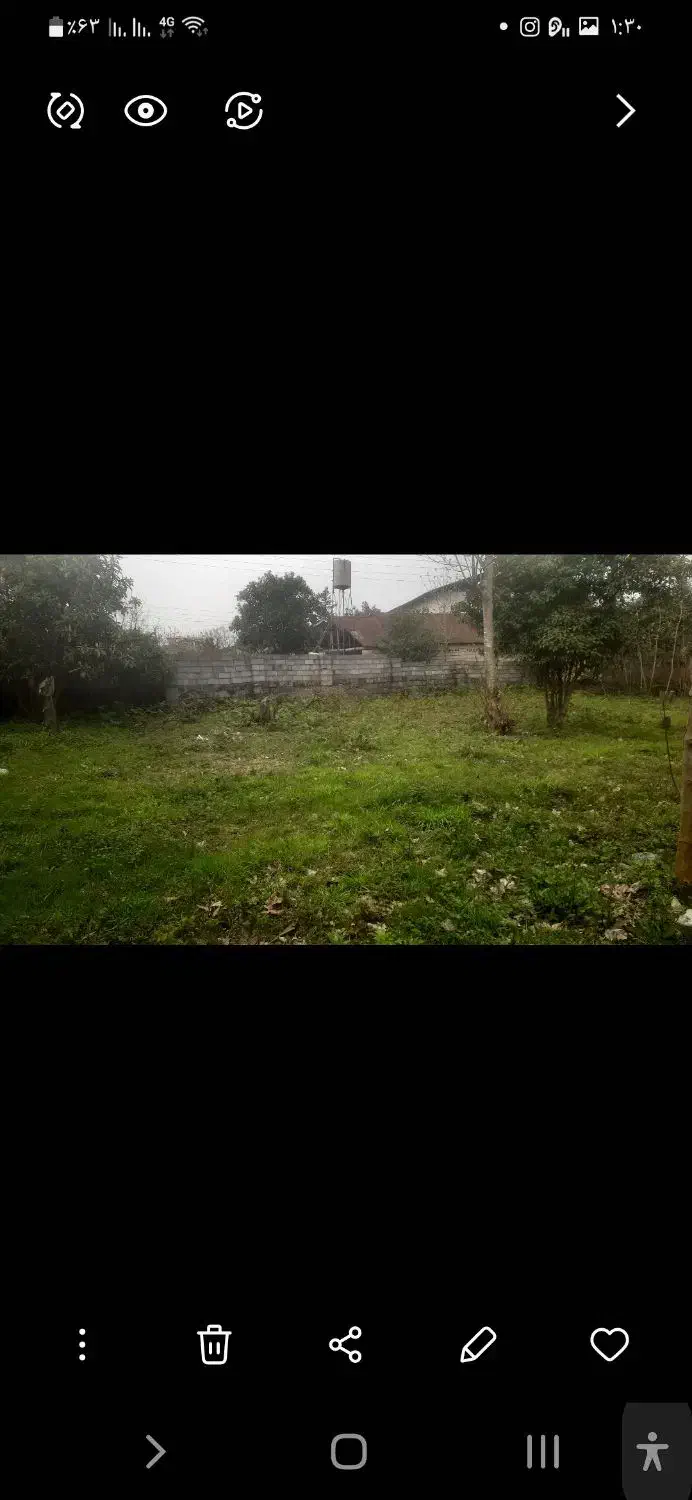 اجاره زمین باغی برای گلکاری و پرورش گل|اجارهٔ دفتر صنعتی، کشاورزی، تجاری|چابکسر, |دیوار