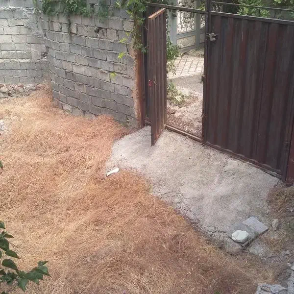 باغچه مشجر سولقان|فروش زمین و ملک کلنگی|کن, |دیوار