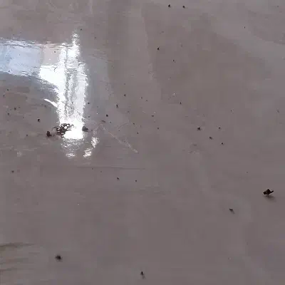 نظافت|خدمات نظافت|گرگان, |دیوار