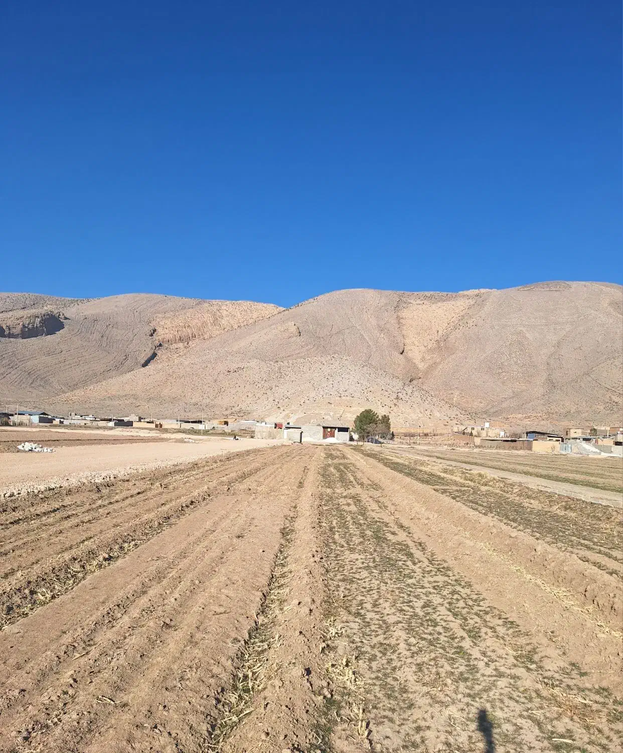 فروش ۱ هکتار زمین کشاورزی|فروش دفتر صنعتی، کشاورزی، تجاری|مرودشت, مجد آباد|دیوار