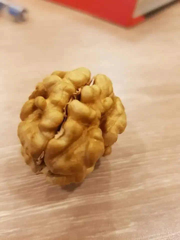 گردوی خارجی درجه یک|خوردنی و آشامیدنی|مشهد, ایثار|دیوار