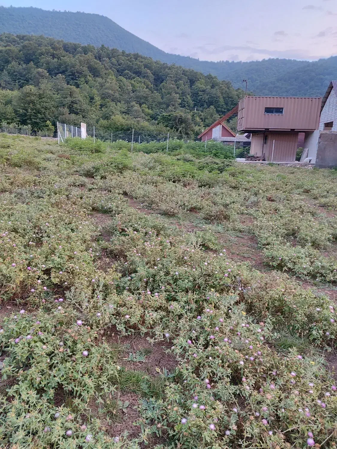 زمین مسکونی توی بافت روستا،واقع درروستای بالاچلی|فروش زمین و ملک کلنگی|فاضل آباد, |دیوار