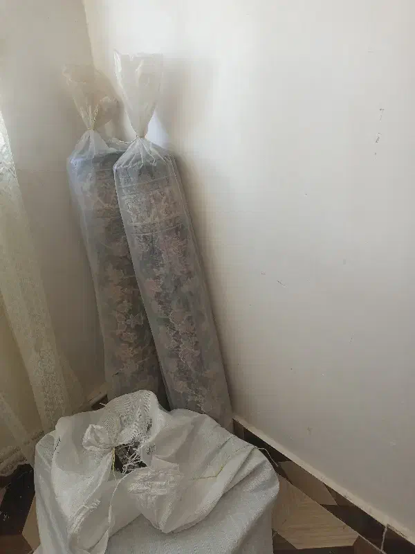 فرش روپله|فرش|نورآباد, |دیوار