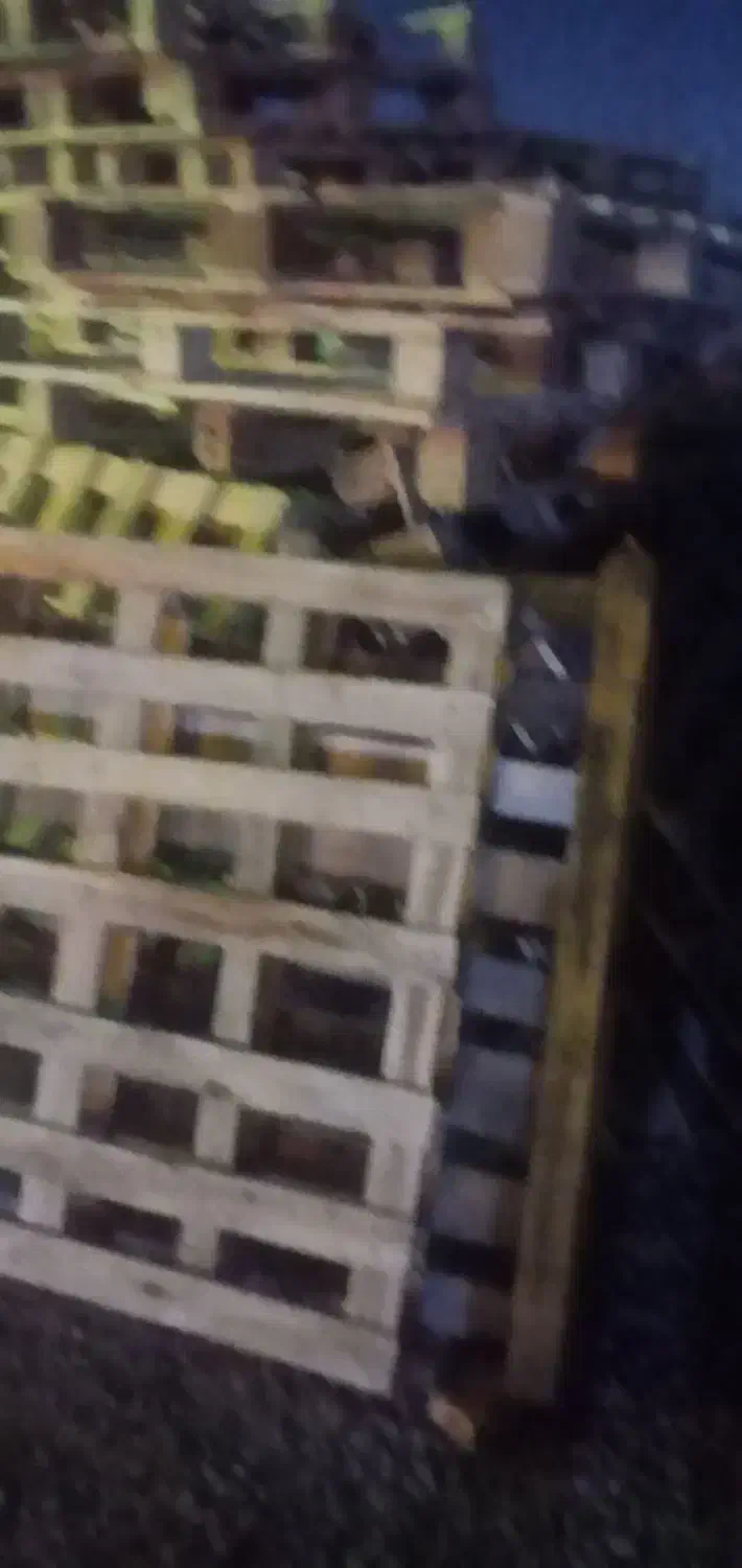 پالت چوبی|عمدهفروشی|شهریار, اصیل آباد|دیوار