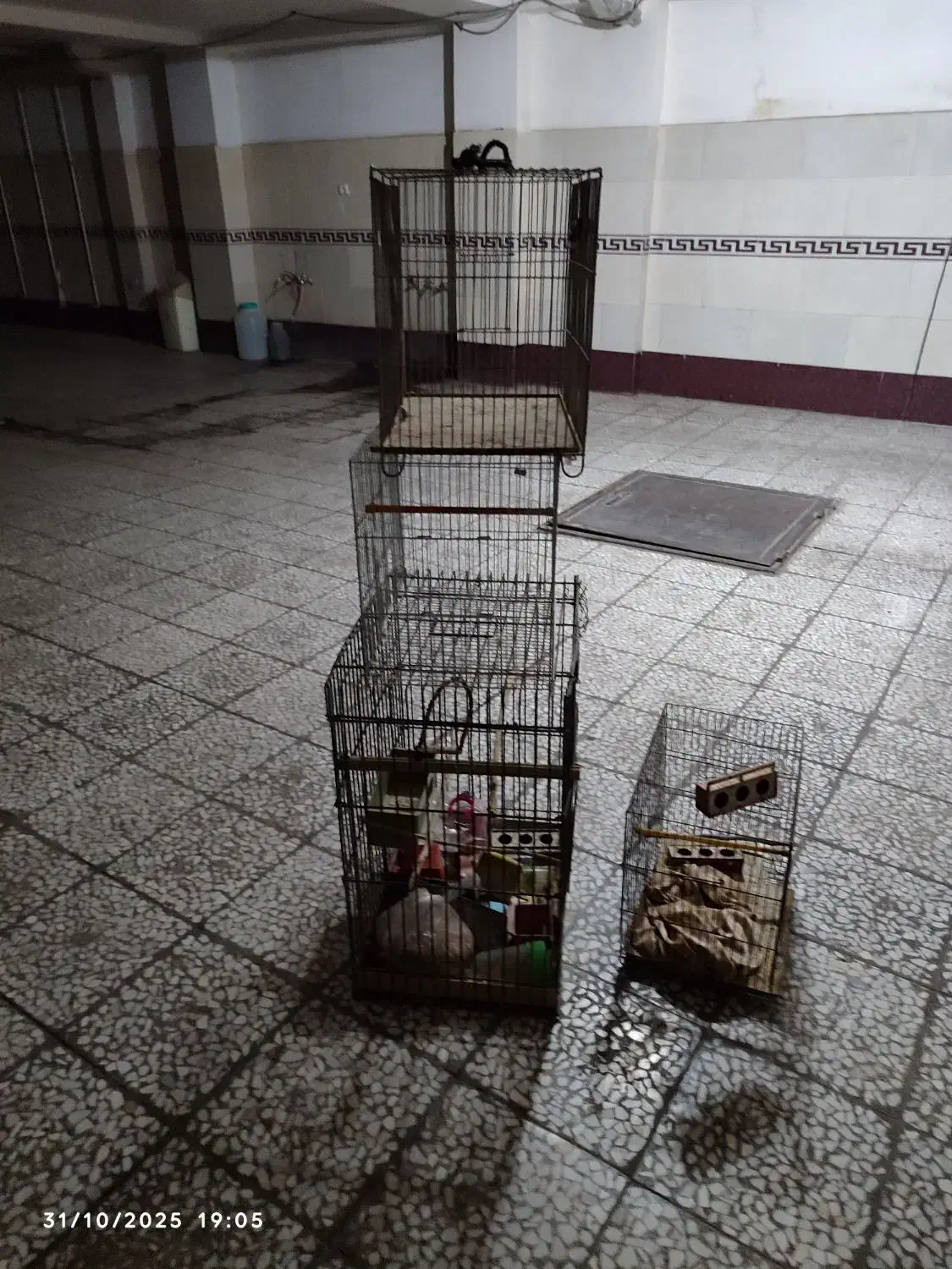 قفس پرنده|لوازم جانبی حیوانات|بوئین زهرا, |دیوار