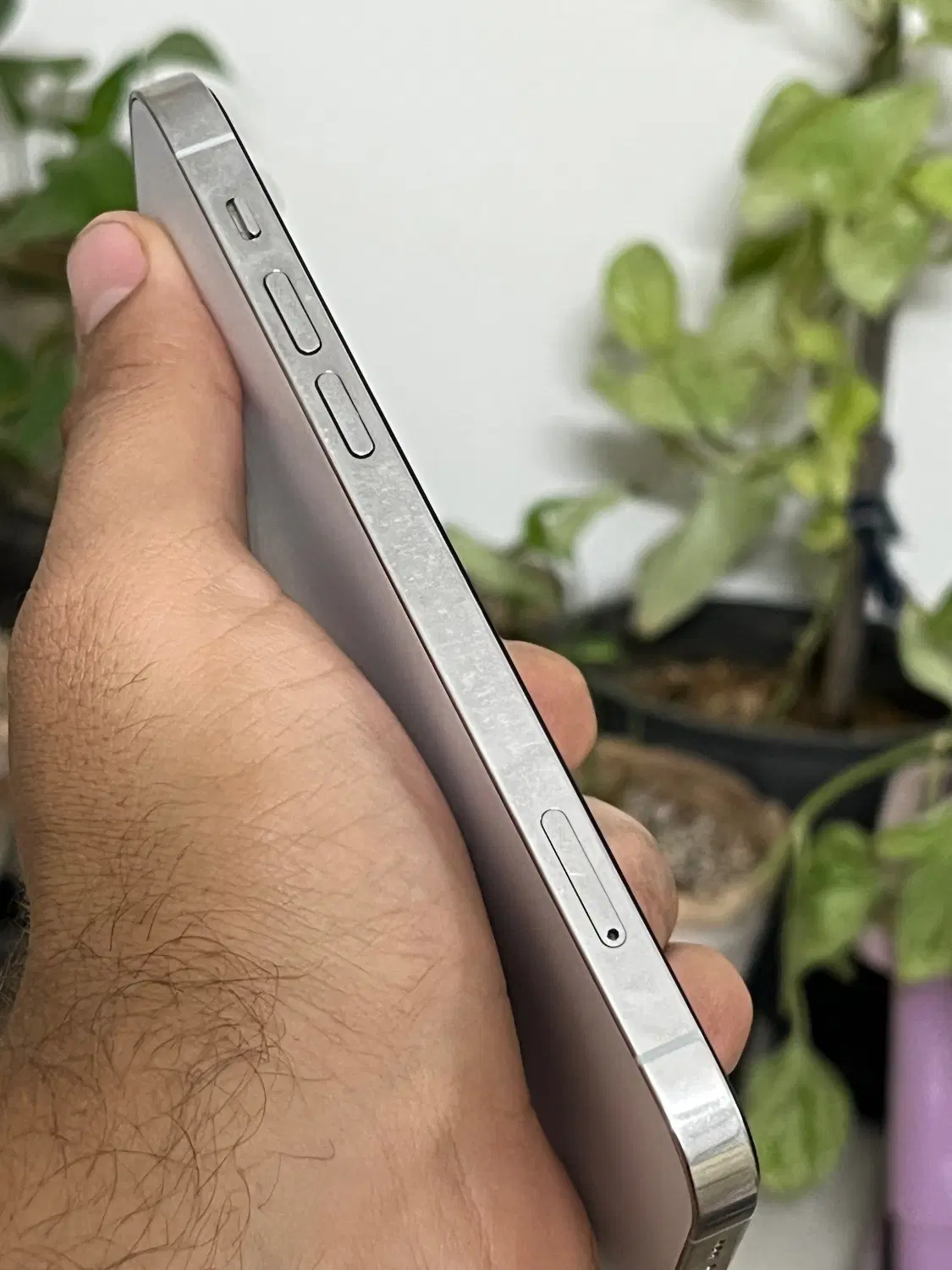 12 pro LLa|موبایل|مشهد, شهید بهشتی|دیوار