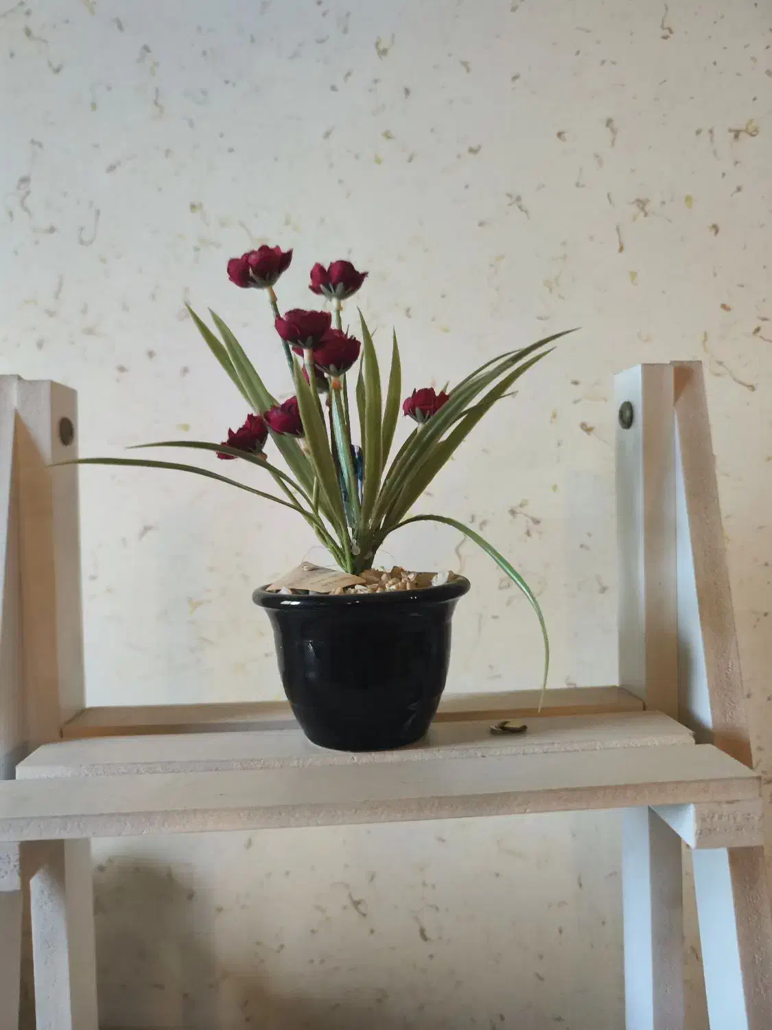 اسنتد چوبی همراه گلدن|گل مصنوعی|بندر انزلی, جزیره|دیوار