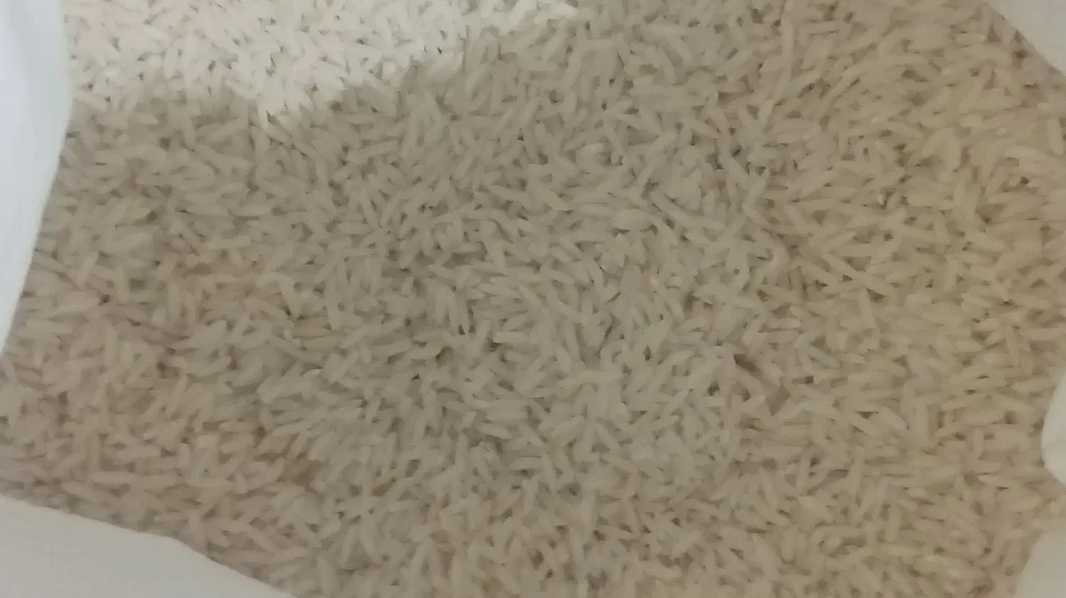 برنج طارم هاشمی واقعی ۴۰ کیلو|خوردنی و آشامیدنی|قائم‌شهر, |دیوار