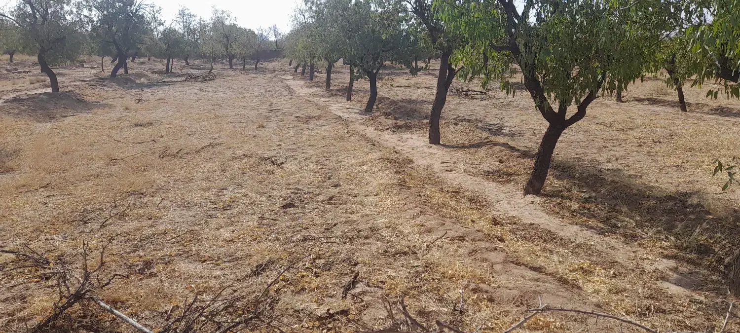 زمین روستای آقابزرگی|فروش زمین و ملک کلنگی|نیر (یزد), |دیوار