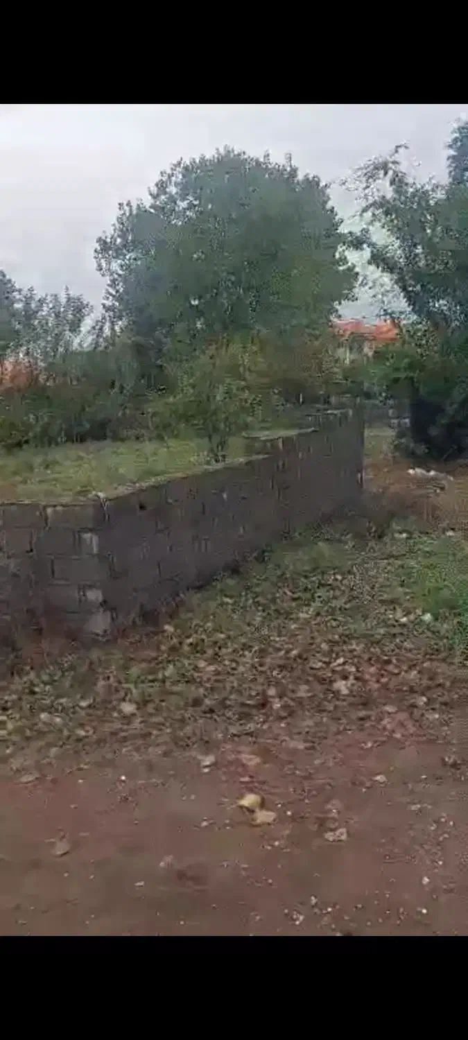 فروش زمین مسکونی ۳بهر بندر چمخاله|فروش زمین و ملک کلنگی|چاف و چمخاله, |دیوار