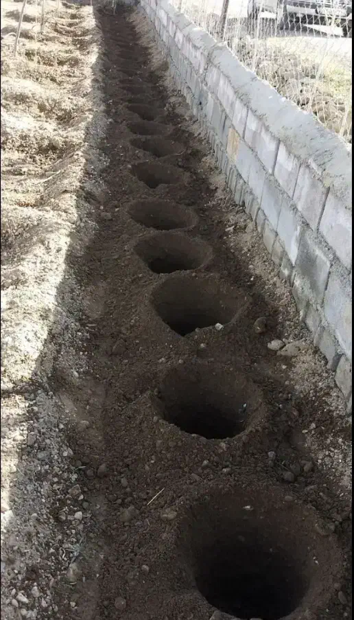 چاله کن نهال ۱۰|خدمات باغبانی و درختکاری|مسجد سلیمان, |دیوار