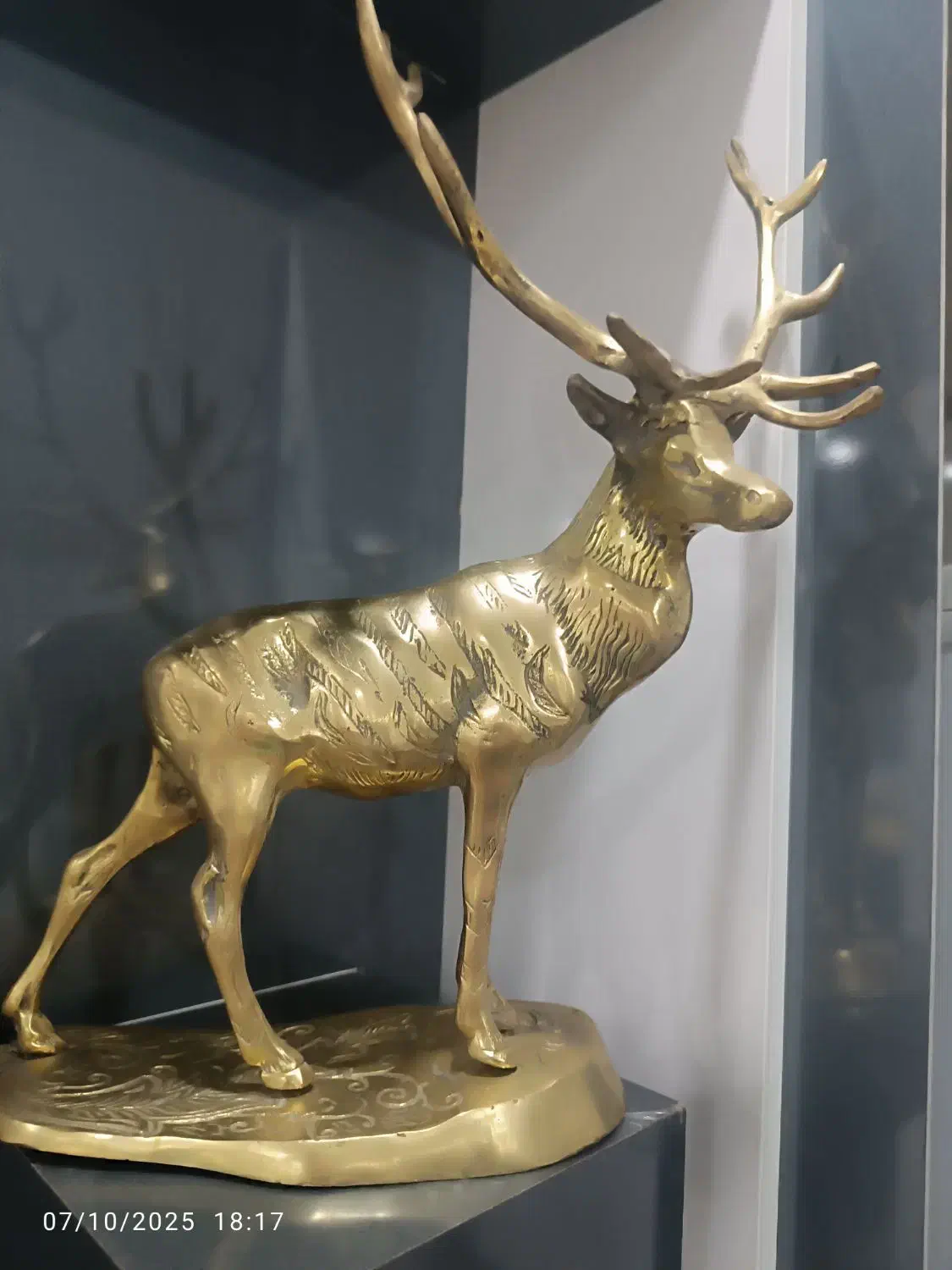 گوزن بزرگ|مجسمه، تندیس، ماکت|نهاوند, |دیوار