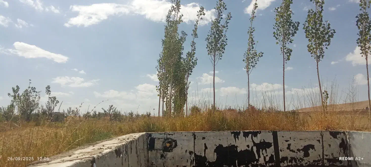 باغ ۴۰۰۰ متری آب لوله کشی مجوز رسمی سرمایه گذاری|فروش خانه و ویلا|بلبان آباد, |دیوار