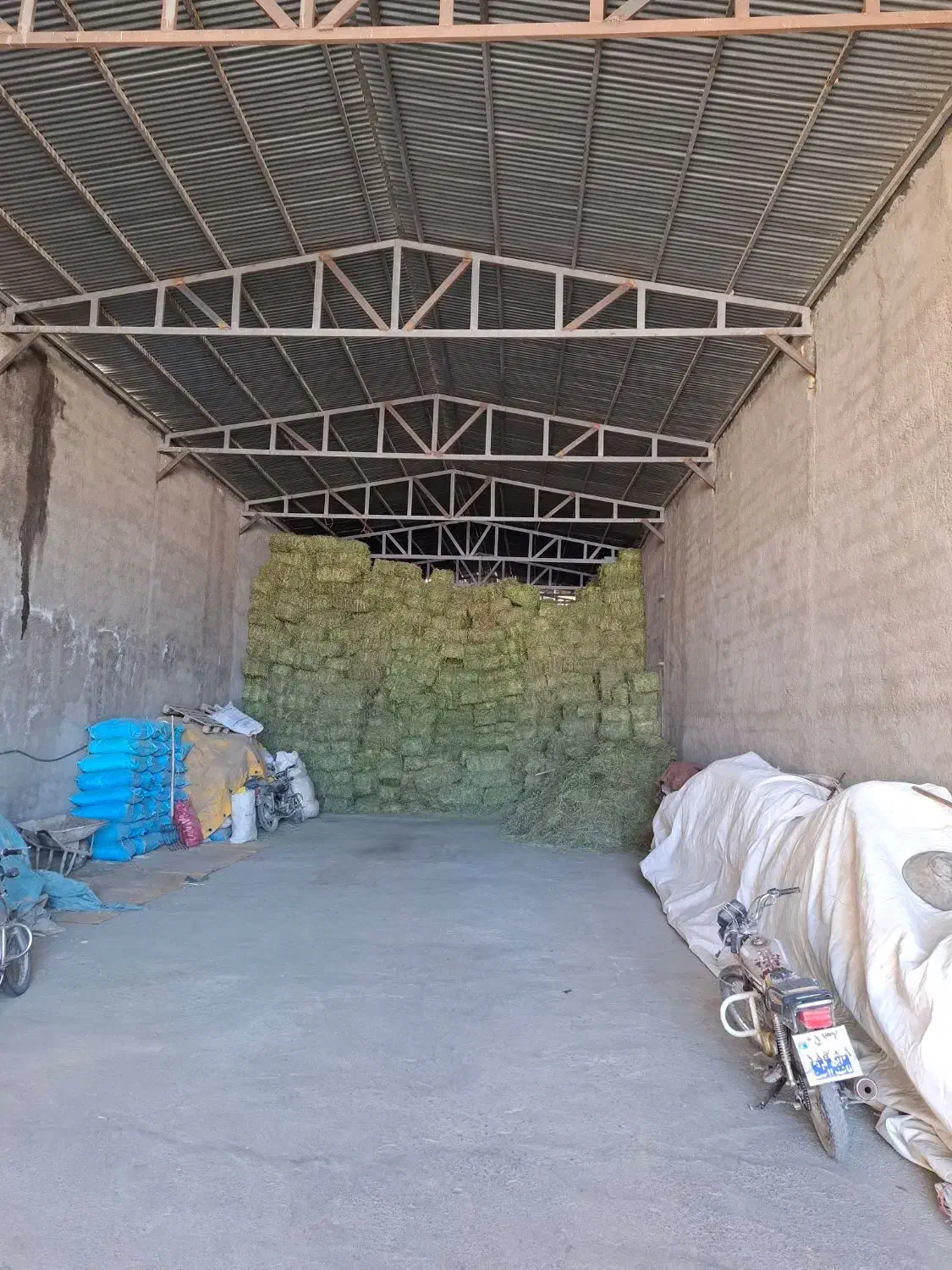 یونجه درجه یک|خدمات باغبانی و درختکاری|شازند, |دیوار