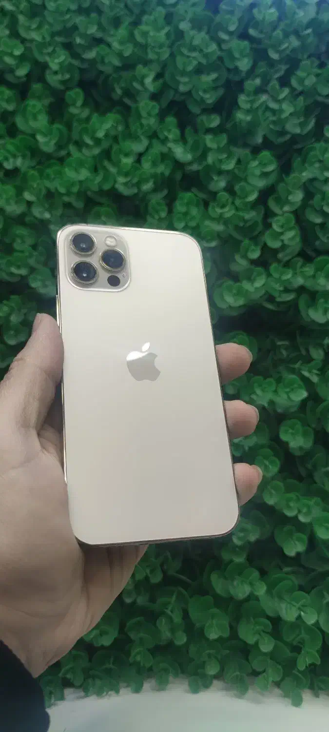 ایفون ۱۲ پرو ۲۵۶|موبایل|تهران, تهرانپارس غربی|دیوار