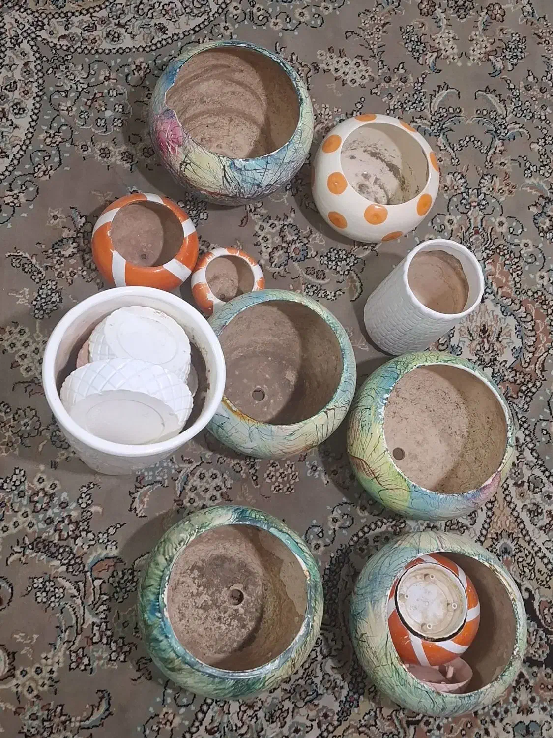 گلدون|گل و گیاه طبیعی|بیرجند, |دیوار