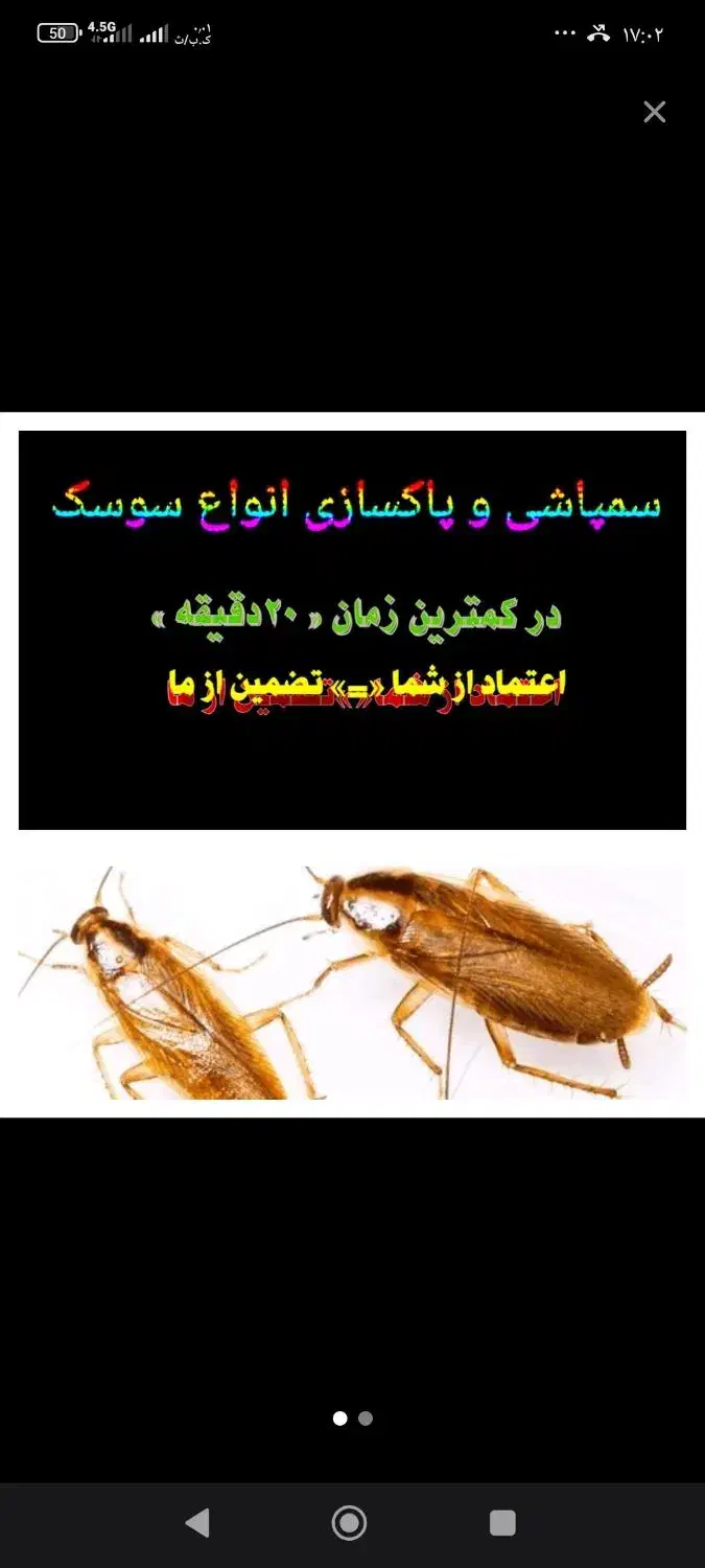سمپاشی « سوسک »|خدمات نظافت|بندرعباس, |دیوار