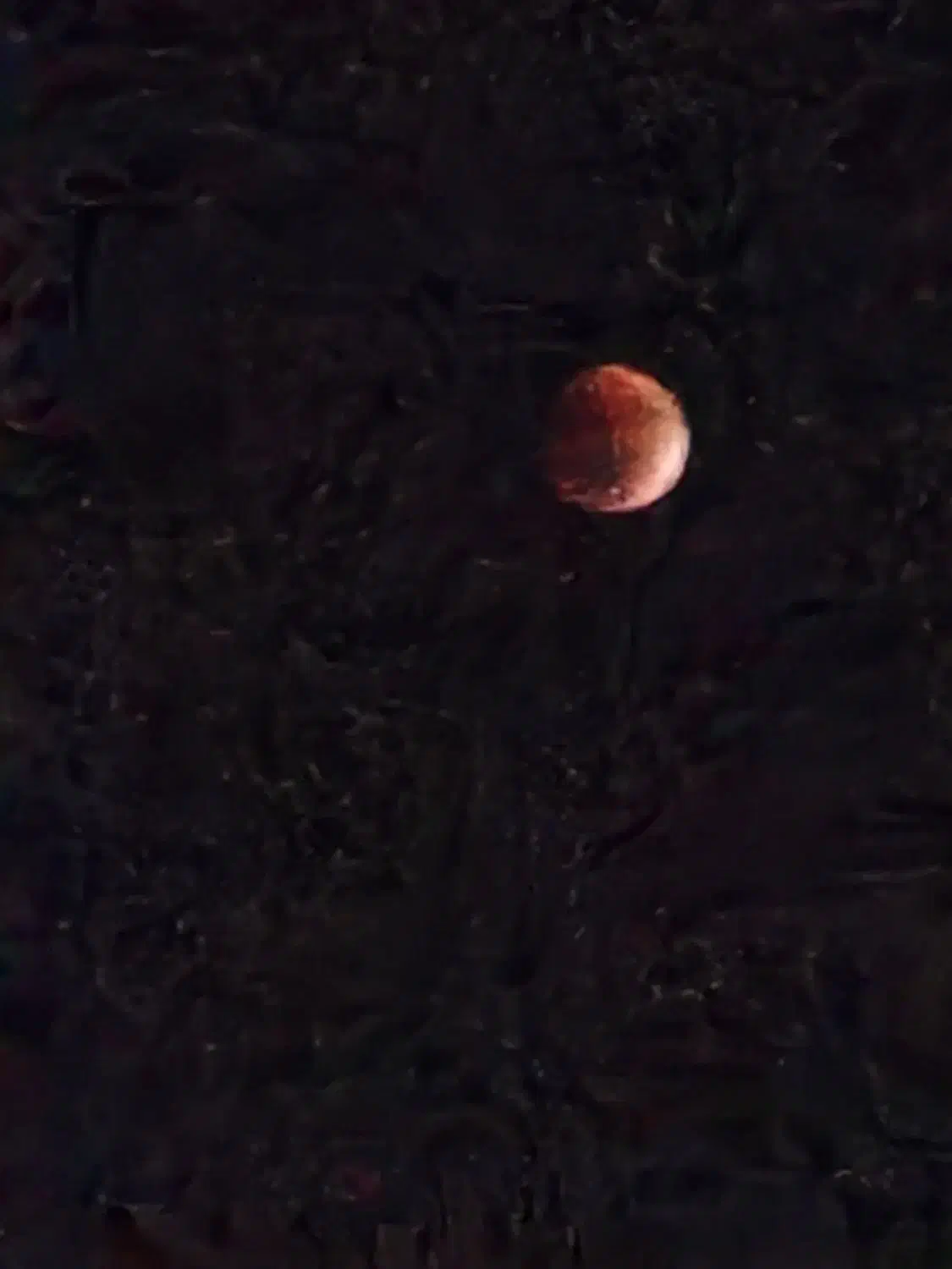 فروش دو خط رند ایرانسل|سیم‌کارت|تهران, اکباتان|دیوار