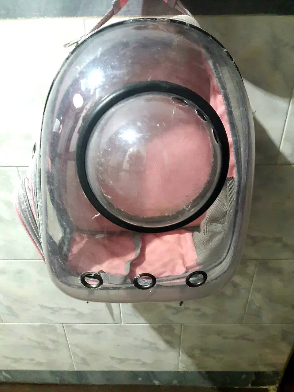 کیف حمل حیوانات خانگی .شکل فضایی|لوازم جانبی حیوانات|بانه, |دیوار