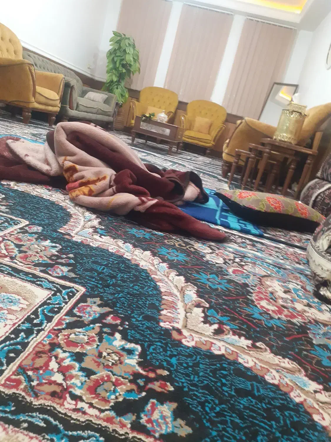 اجاره خانه|اجارهٔ خانه و ویلا|یاسوج, |دیوار