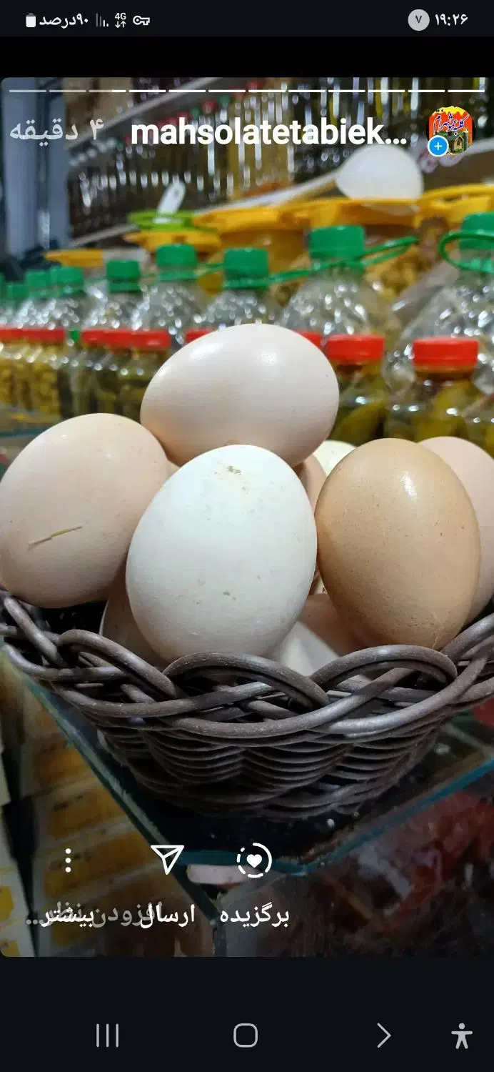 تخم مرغ محلی|خوردنی و آشامیدنی|شازند, |دیوار