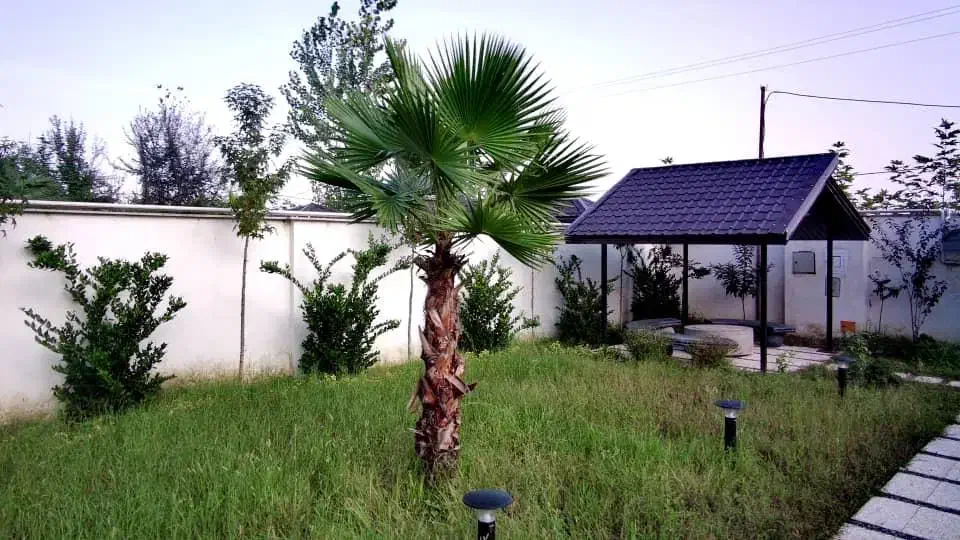 اجاره ویلا استخر دار تراس دلنشین ویو جنگل 024|اجارهٔ کوتاه‌مدت ویلا و باغ|شفت, |دیوار