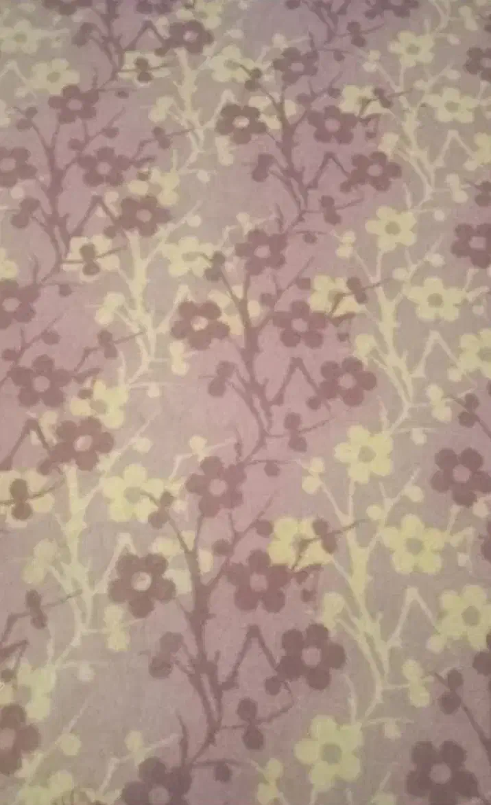 گاوصندوق کوچک پالازموکت|کافیشاپ و رستوران|فردیس, فرامرزیه|دیوار