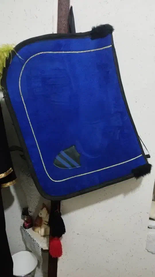 عرقگیروسینه بند|اسب و تجهیزات اسبسواری|فلاورجان, |دیوار