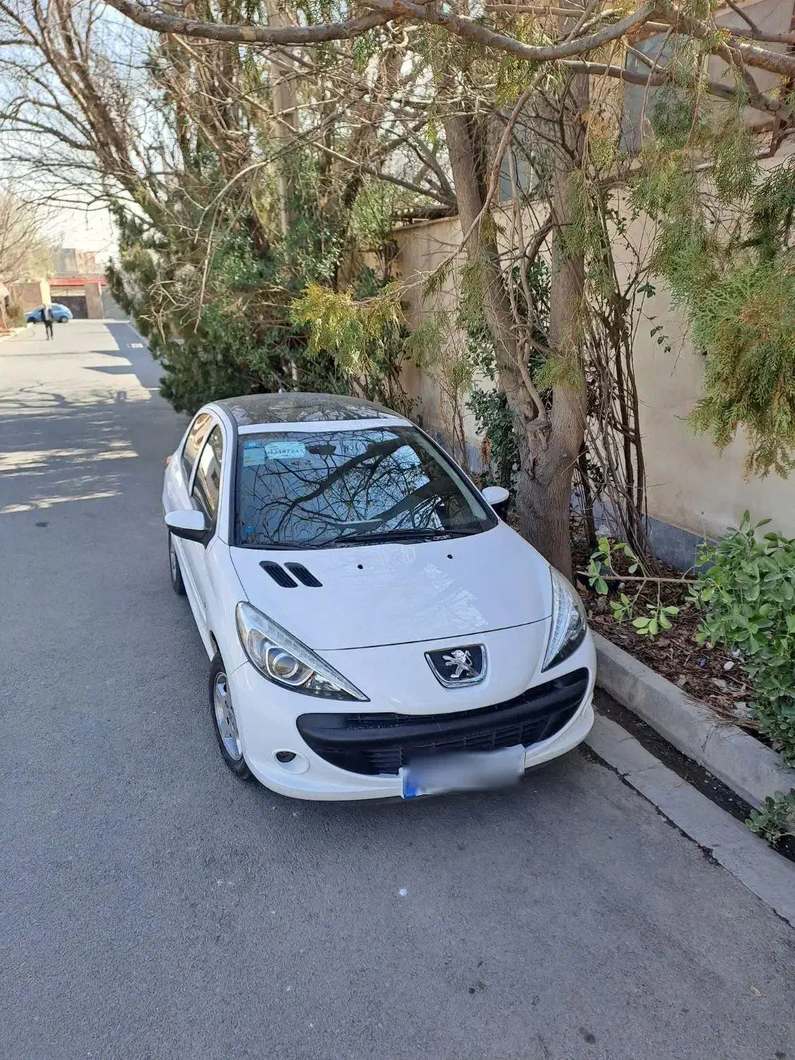 ۲۰۷ ۱۴۰۱|خودرو سواری و وانت|فردیس, نگارستان|دیوار