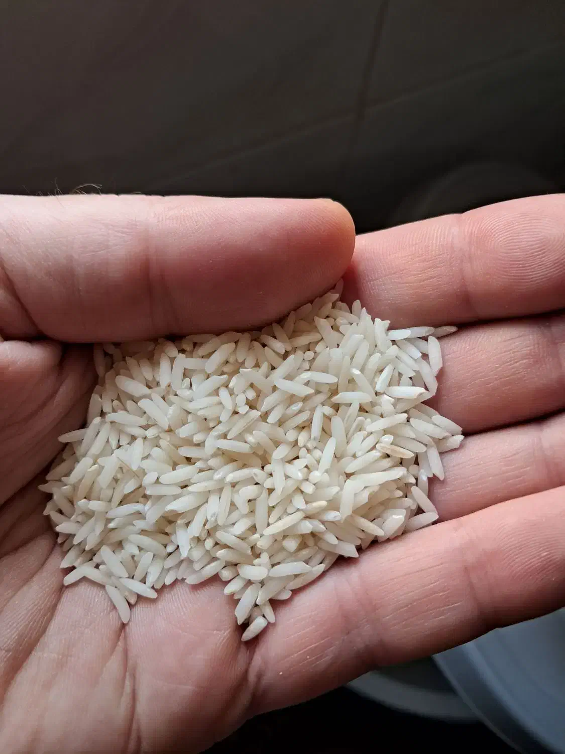 برنج هاشمی درجه یک عطری|خوردنی و آشامیدنی|رشت, منظریه|دیوار