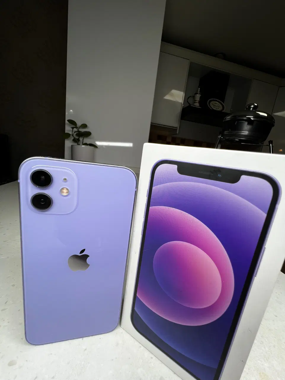 iphone12|موبایل|شیراز, ابیوردی|دیوار