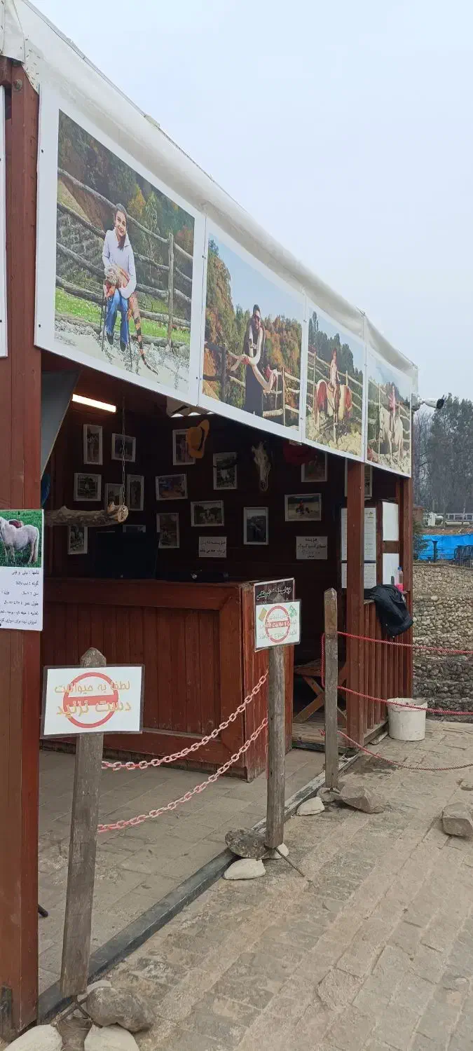 استخدام نیروی عکاس|استخدام هنری و رسانه|نور, |دیوار