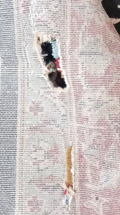 فرش|فرش|نجف‌آباد, حومه نجف آباد|دیوار