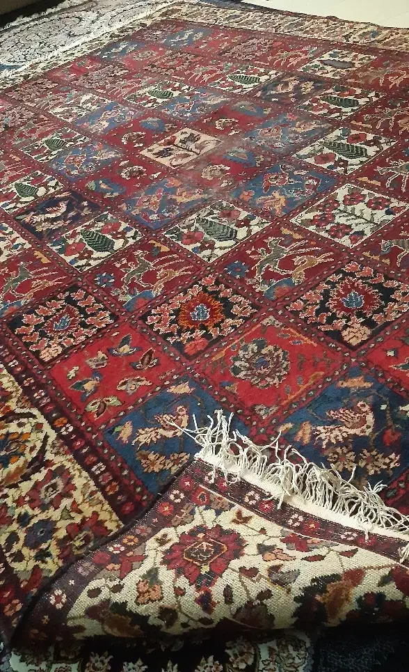 فرش دستبافت قدیمی|فرش|رشت, نیکمرام|دیوار
