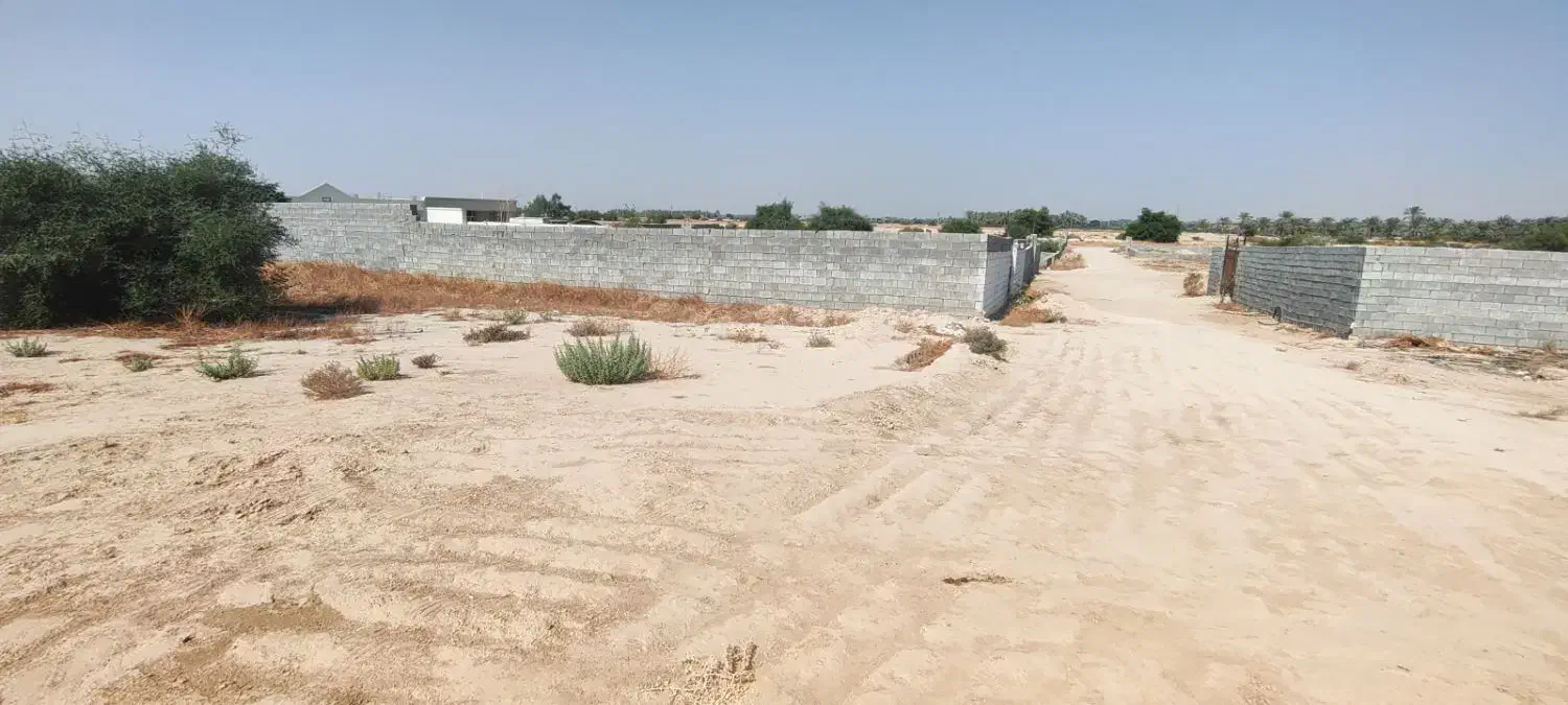 زمین خونه باغ.برق دارد|فروش زمین و ملک کلنگی|برازجان, |دیوار