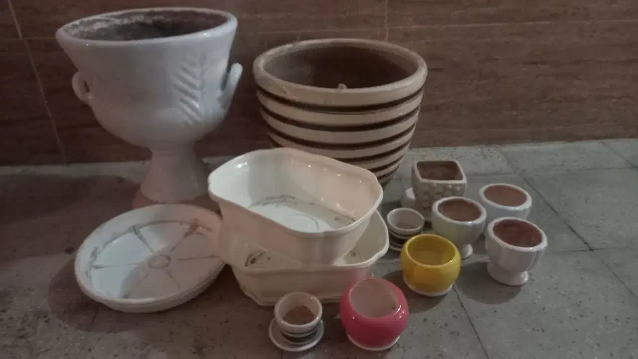 گلدان واستند گل|گل و گیاه طبیعی|پاکدشت, پاکدشت (مامازند)|دیوار