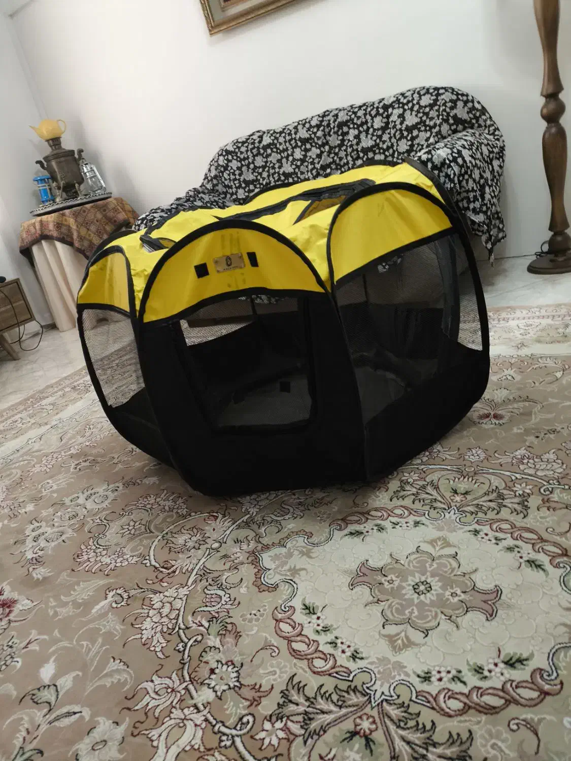 پارک سگ|لوازم جانبی حیوانات|رودهن, |دیوار