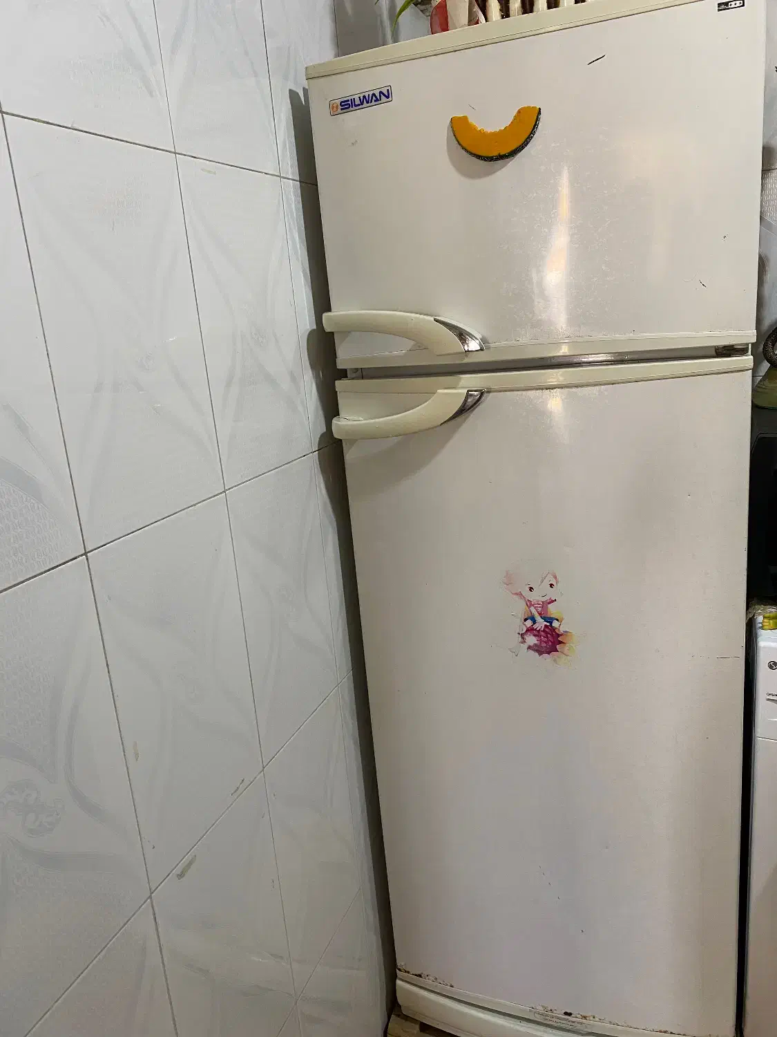 یخچال|یخچال و فریزر|تربتحیدریه, رباط سفلی|دیوار