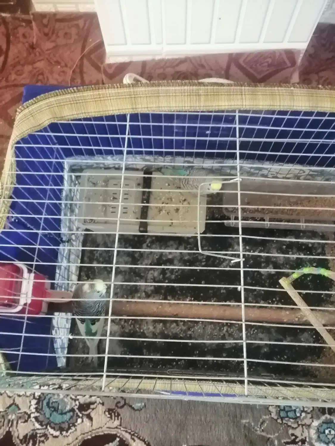 لوازم خانه وپرنده وکابینت و یخچال و تنور گازی|اجاق گاز و لوازم برقی پختوپز|علیآباد کتول, |دیوار