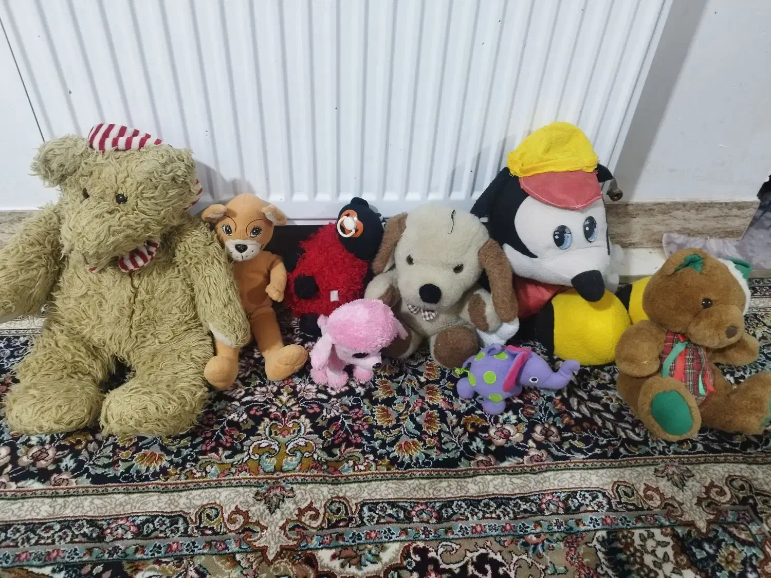 عروسک|اسباب‌‌بازی|شیراز, فرگاز|دیوار