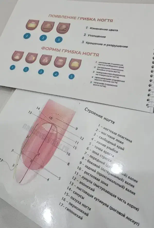 آموزش صفرتاصد به روز خدمات ناخن همراه با مدرک|خدمات آموزشی|فومن, |دیوار