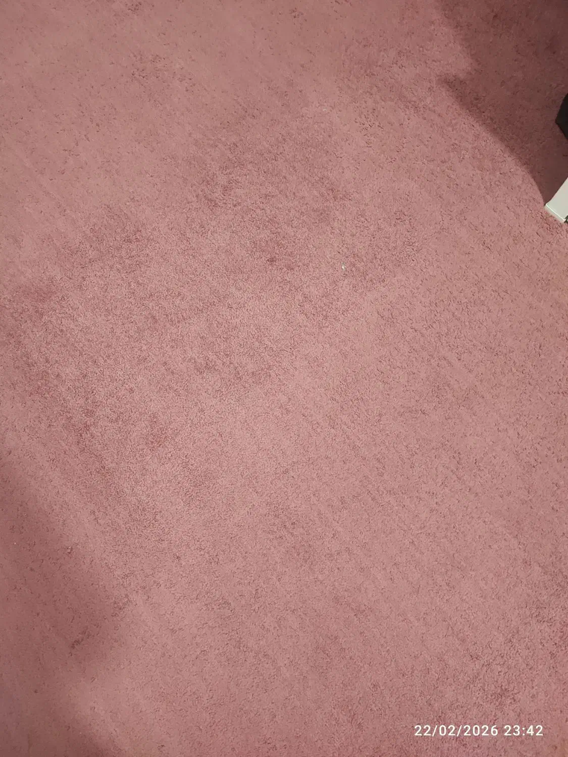 یک عدد موکت|موکت|خرمشهر, |دیوار